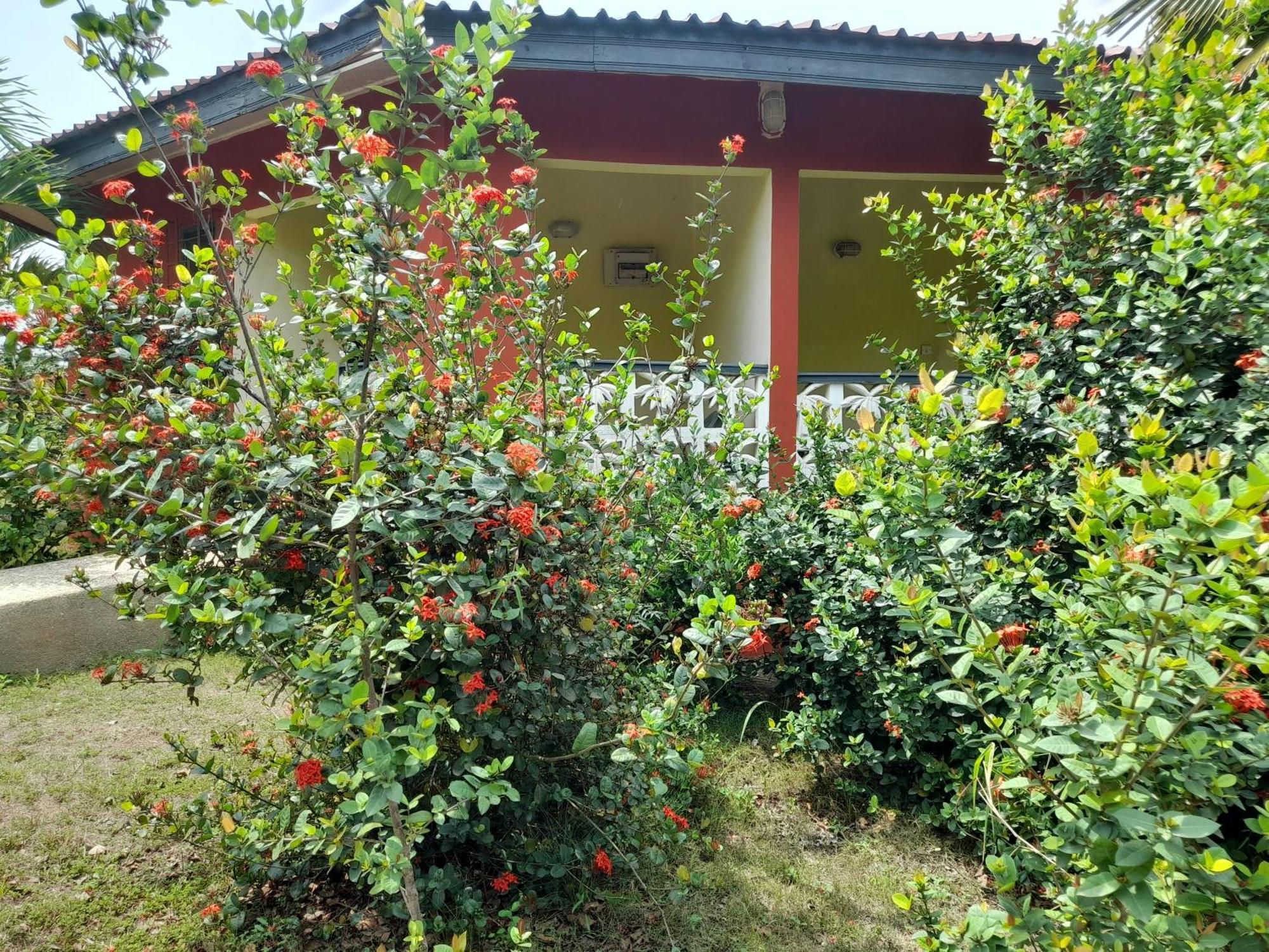 Paradise Ocean Resort Cape Coast Exterior photo
