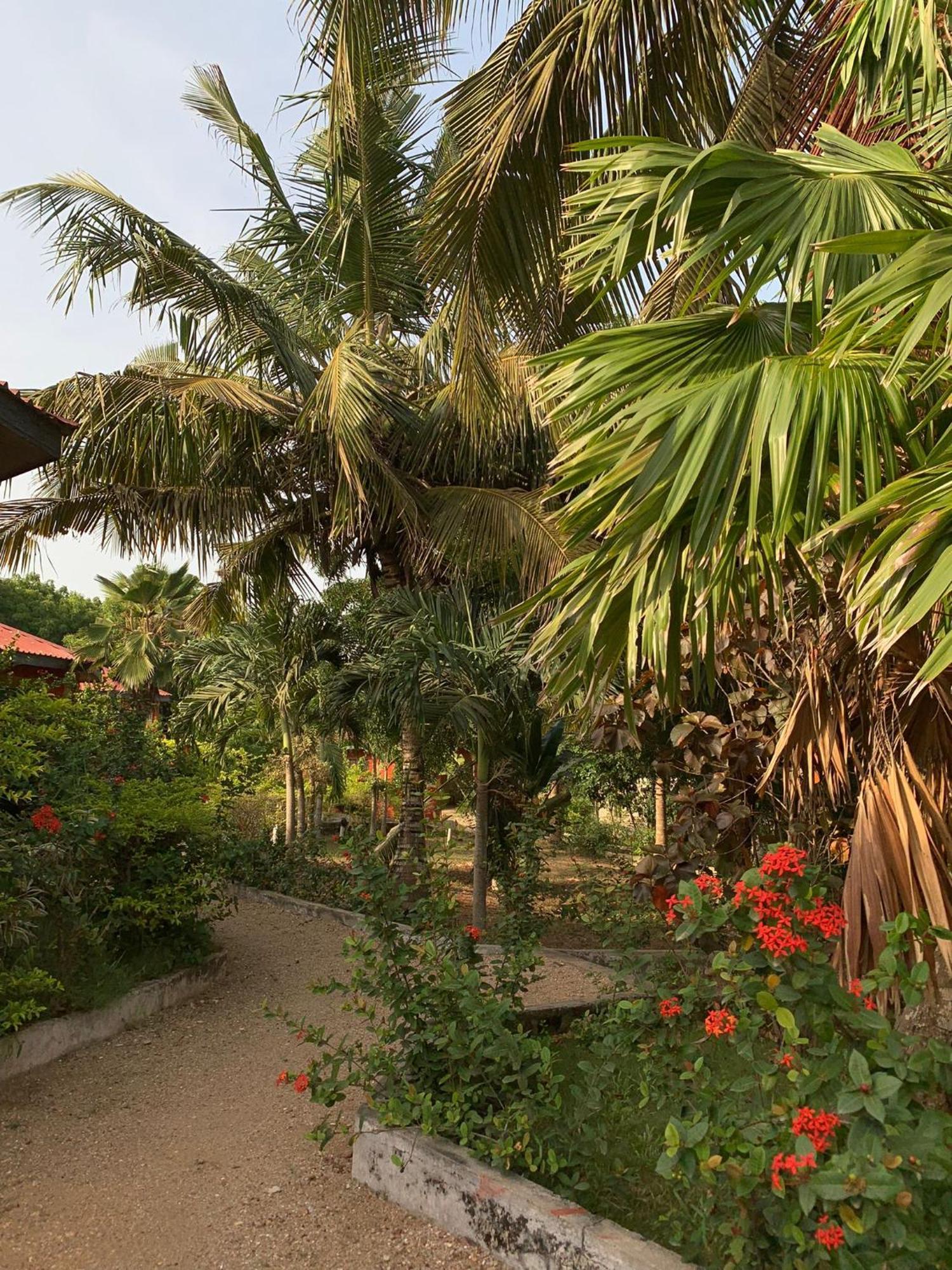 Paradise Ocean Resort Cape Coast Exterior photo