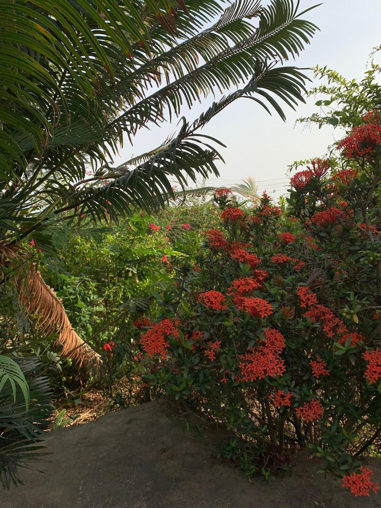 Paradise Ocean Resort Cape Coast Exterior photo